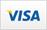 Visa credit card icon